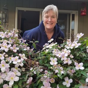 Meet your Posher, Marni